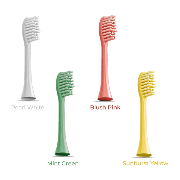 Sonique Adult – Brush Heads Combo (Set of 2 )